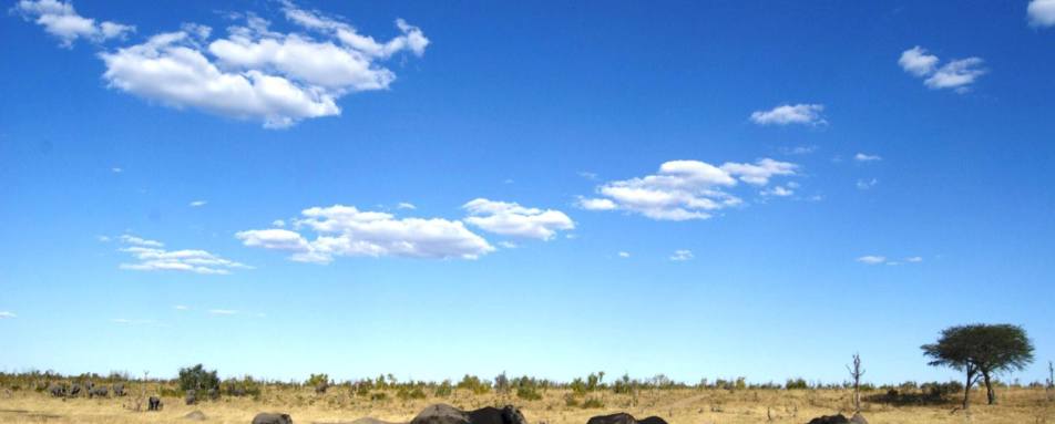 Elephants at a Waterhole - Bomani Tented Lodge