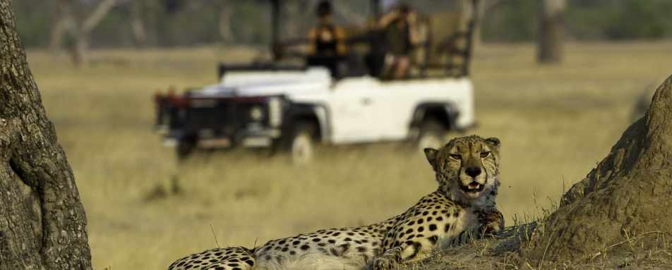 Little Makalolo Camp