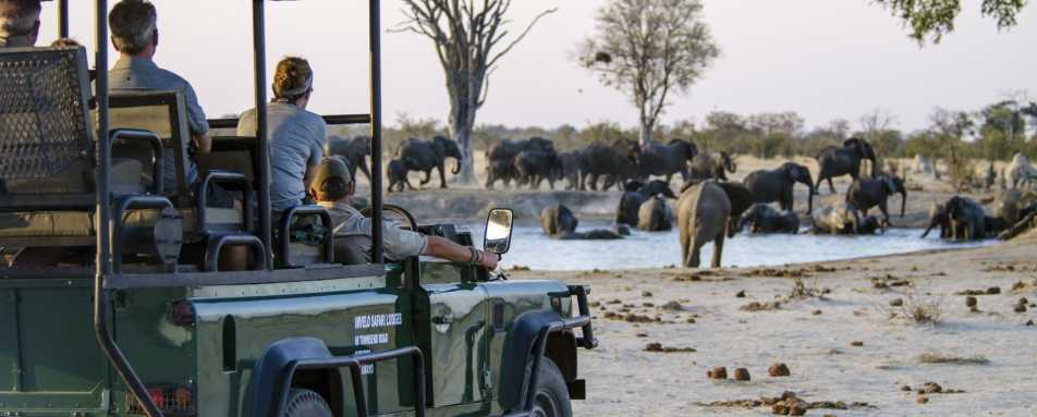 Watching elephants  - Nehimba Lodge