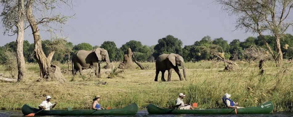Canoeing on the Zambezi River - Rukomechi Camp