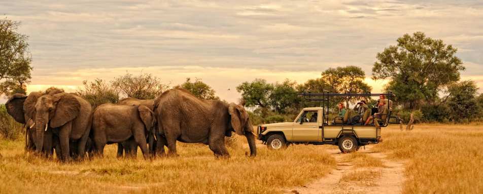 Exploring Mana Pools from Kanga Camp - Zimbabwe in style