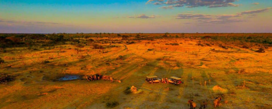 Hwange game drive