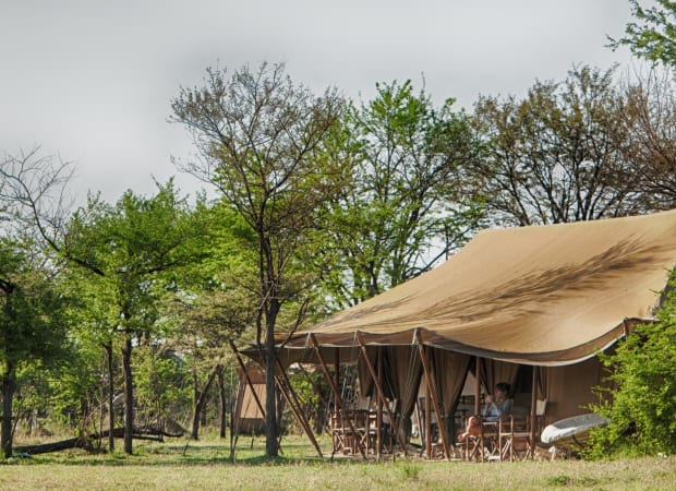 Legendary Serengeti Camp - Luxury seasonal Mobile Safari tented camp