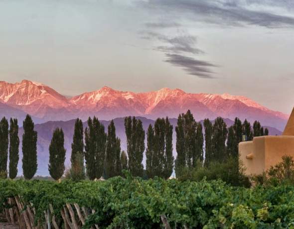 Cavas Wine Lodge