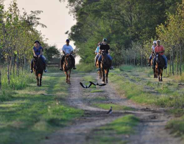 Estancia La Sofia