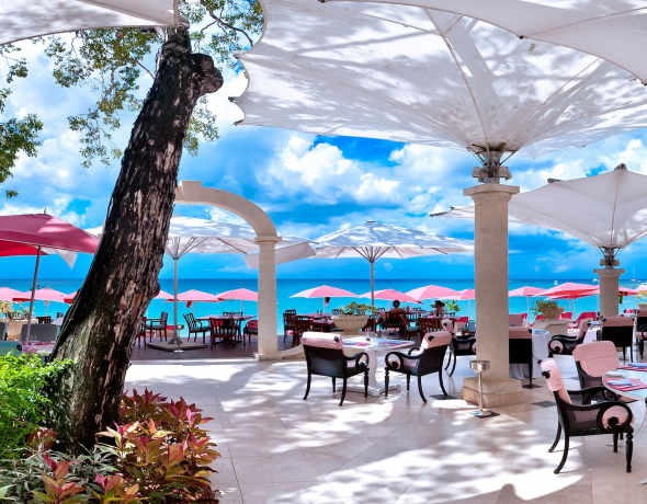 Sandy Lane