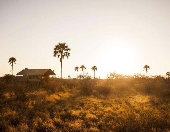 Camp Kalahari