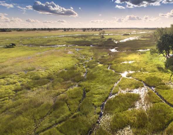 Duba Plains