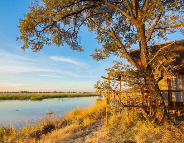 Kwando Lagoon Camp