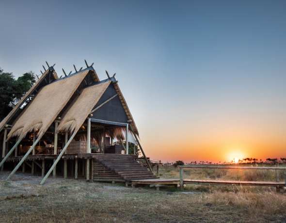 Selinda Camp