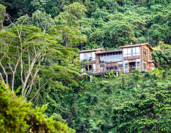 Casa Oropendola