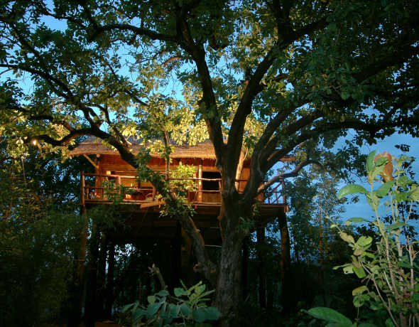 Treehouse Hideaway