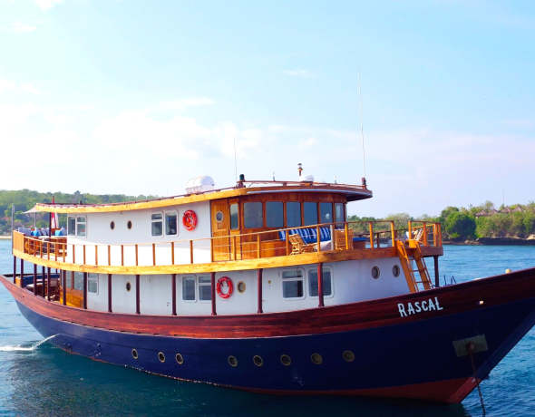 Rascal Voyages