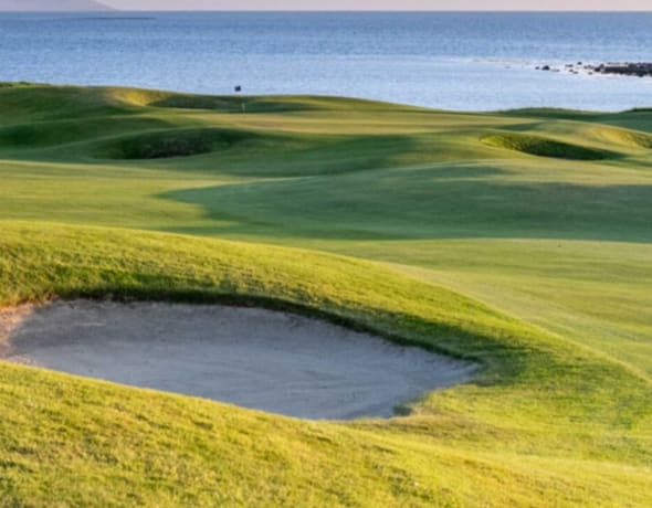 The Hawthorn by Galway Bay