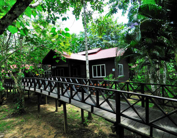 Kinabatangan Riverside Lodge