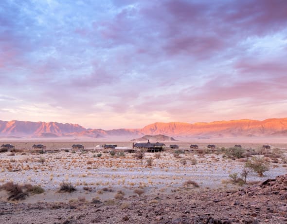 Hoodia Desert Lodge