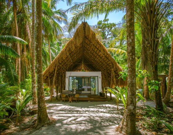 Isla Palenque