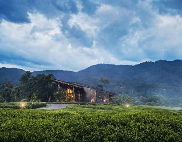 One&amp;Only Nyungwe House