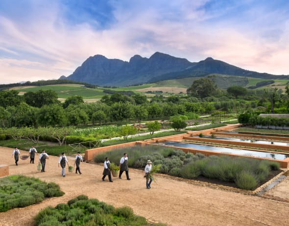 Babylonstoren
