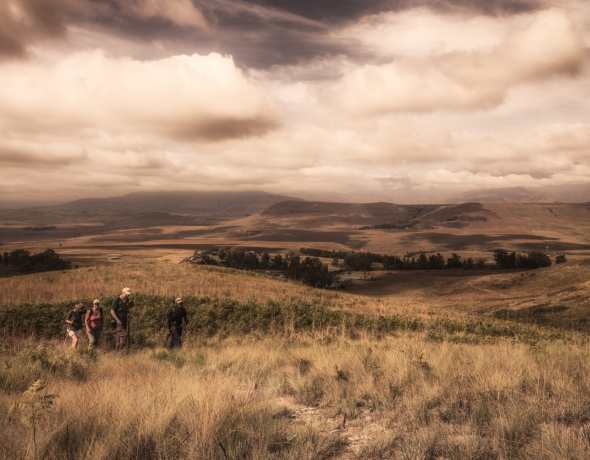 Montusi Mountain Lodge