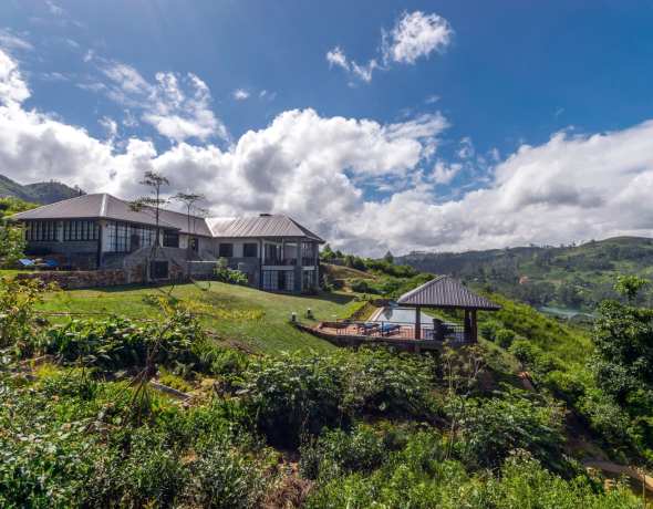 Camellia Hills