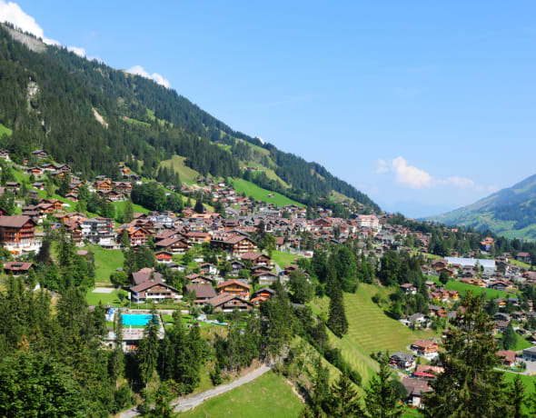 The Cambrian Adelboden
