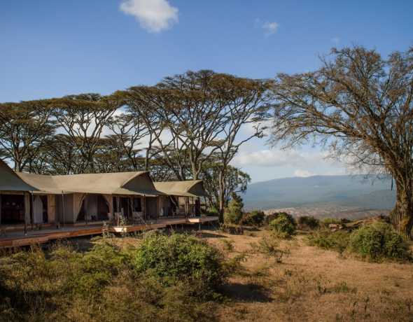 Entamanu Ngorongoro
