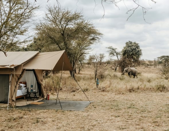 Wayo Walking Camp