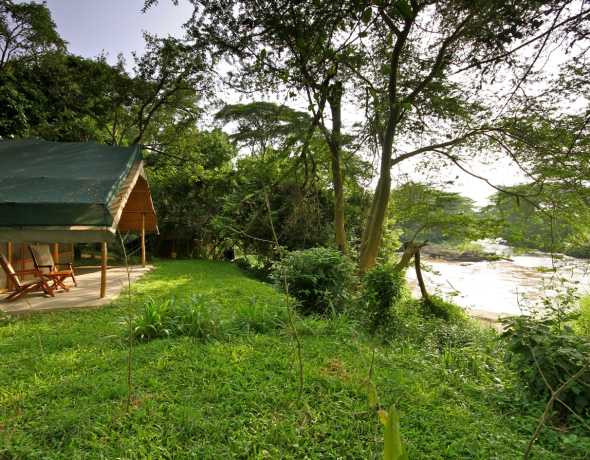 Ishasha Wilderness Camp