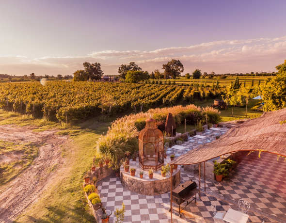 Finca Narbona