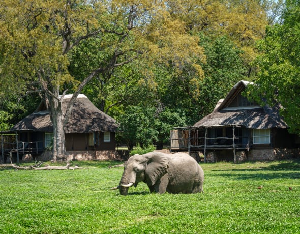 Mfuwe Lodge