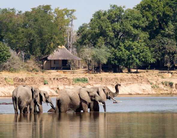 Nsefu Camp