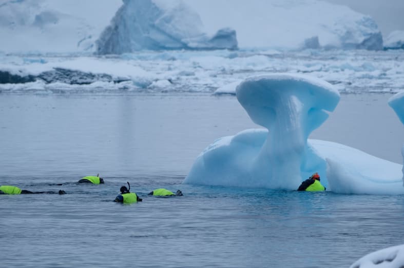Snorkelling at Portal Point 