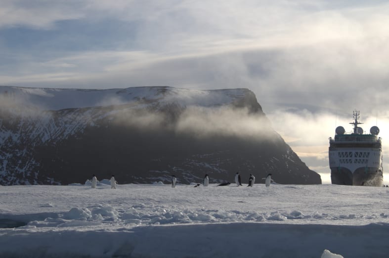 Penguins and Sylvia Earle 
