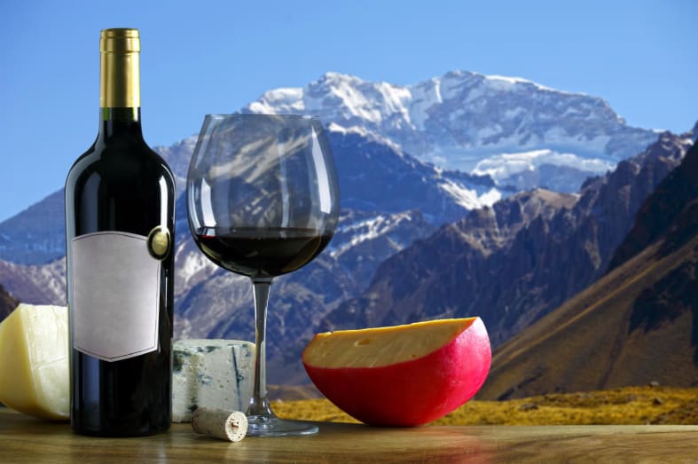 Mendoza - Luxury Wine & Culinary Explorer
