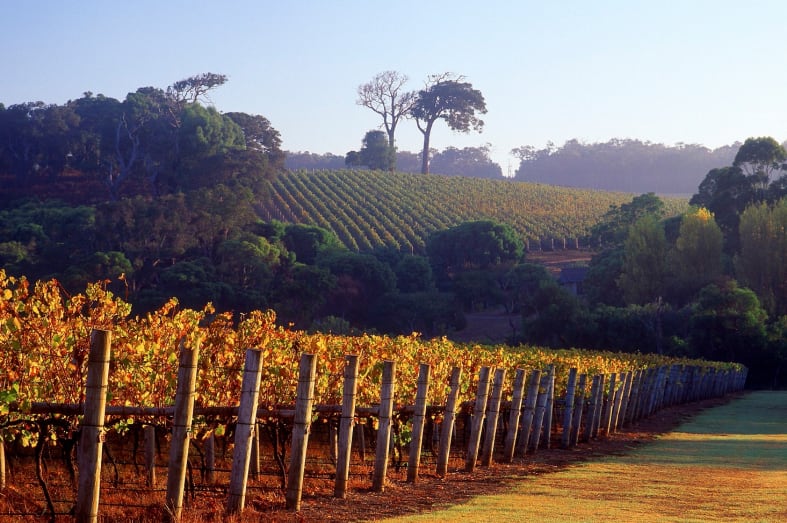 Margaret River Winery - 