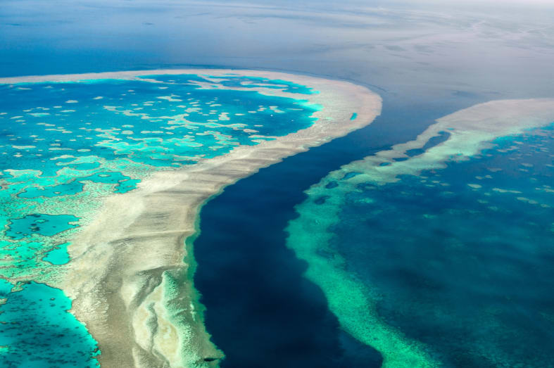 The Great Barrier Reef - 