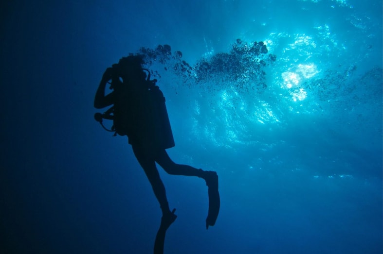 Diving - Dive into Belize
