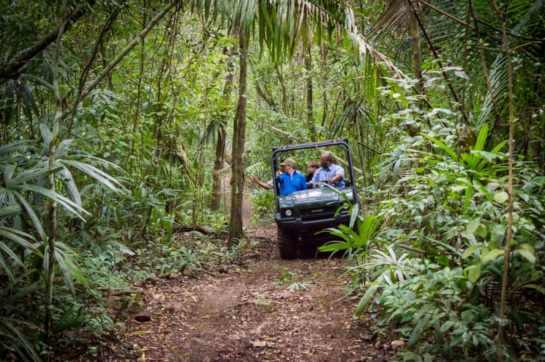 Forest Safari at Chaa Creek - Guatemala & Belize for the Family