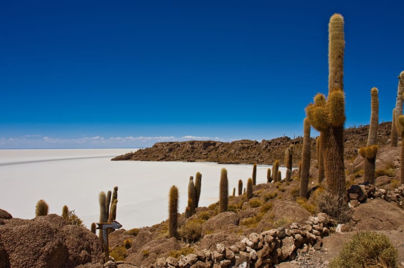 Cacti islands on Salar de Uyuni - Atacama to Lake Titicaca