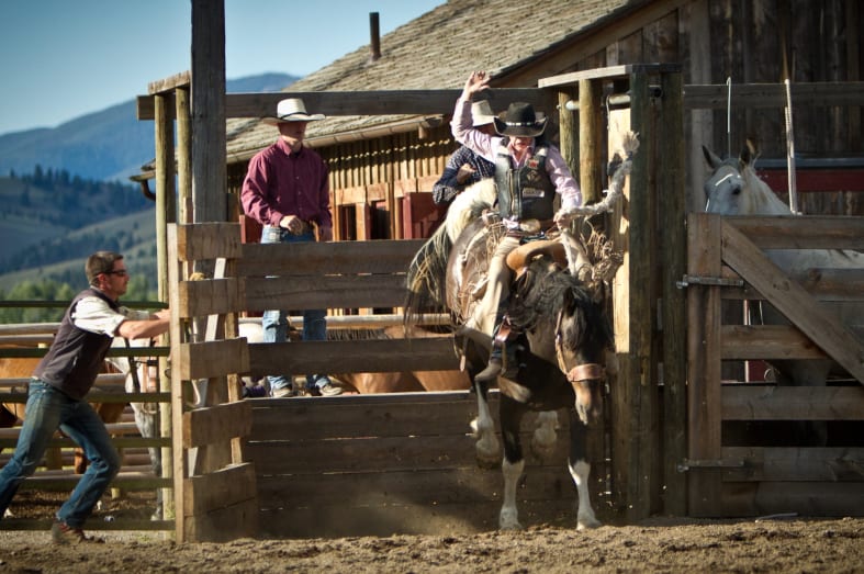 Rodeo at Rock Creek - Ultimate Western Canada & Montana