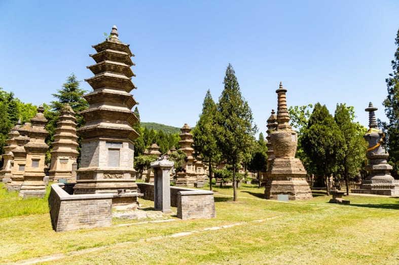 Pagoda Forest Shaolin Temple 