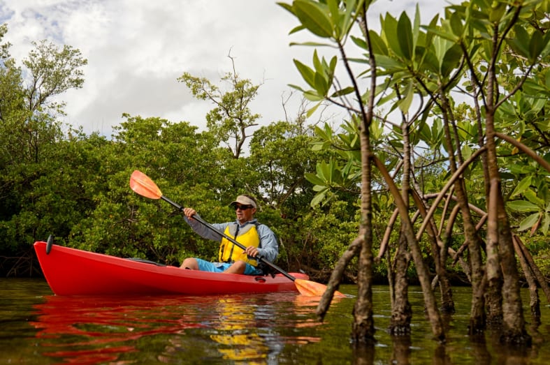 Kayak through Mangroves - Costa Rica for Teenagers