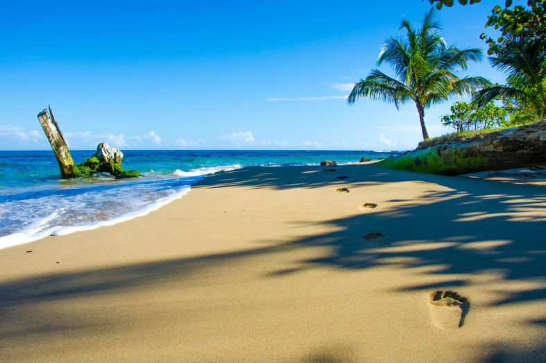 Beach bliss - Wild Costa Rica