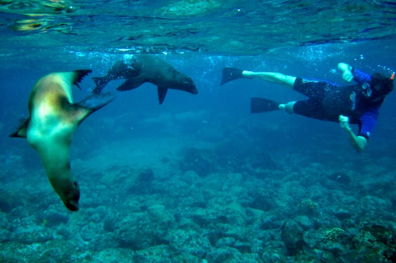 Galapagos snorkelling - Family Ecuador & Galapagos Islands Adventure