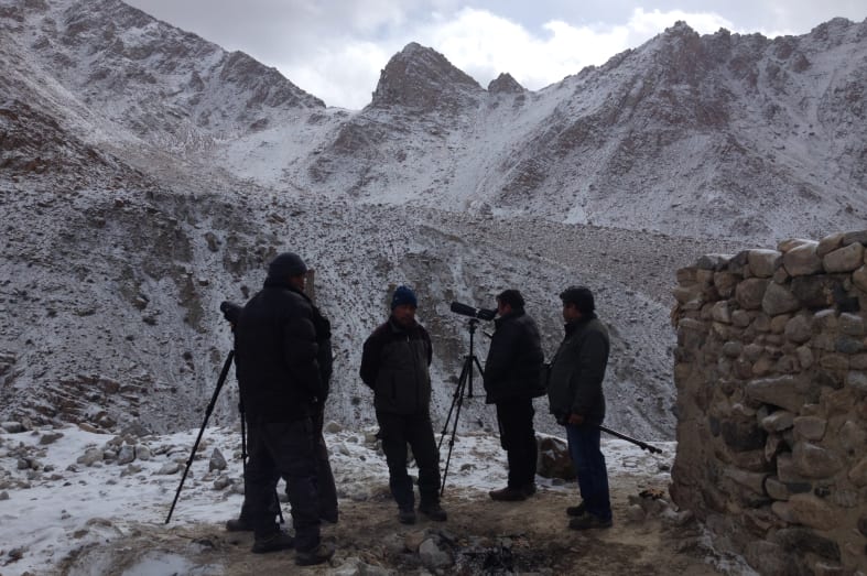 Tracking  - Spotting Snow Leopards in Himalaya