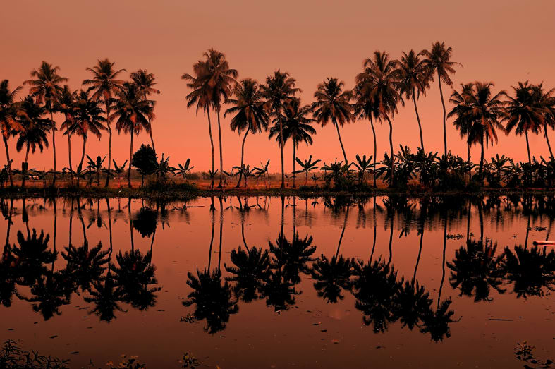 Sunsets - Kerala and the Maldives
