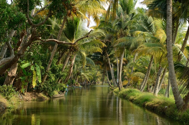 Backwaters - Kerala and the Maldives