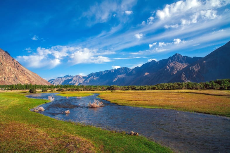 Nubra Valley in Summer 