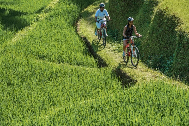 Cycling in Ubud - Bali for Families
